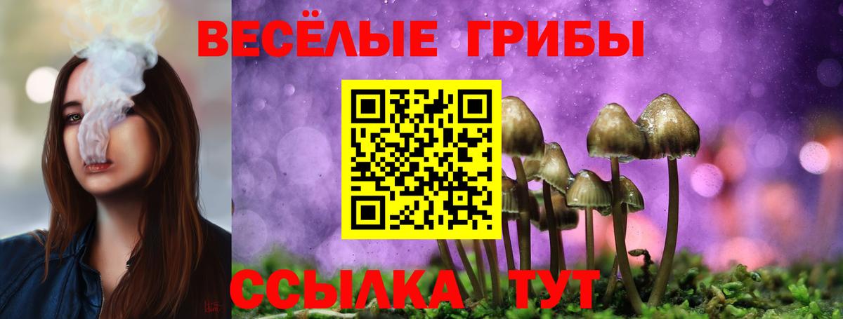 Галлюциногенные грибы ЛСД  Вход с VPN  Псилоцибиновые грибы GOLDEN TEACHER  Кстово 